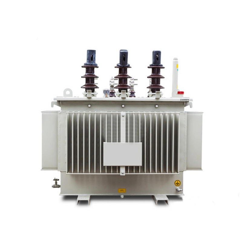 22kv Polno nameščen napajalni transformator 50kva 22kv Polno nameščen napajalni transformator 50kva
